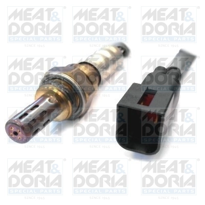 Oxygen Sensor